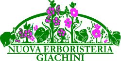 Erboristeria Giachini