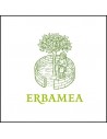 Erbamea s.r.l.